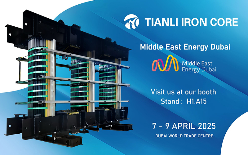 شركة تايتشو تيانلي لتصنيع خام الحديد المحدودة